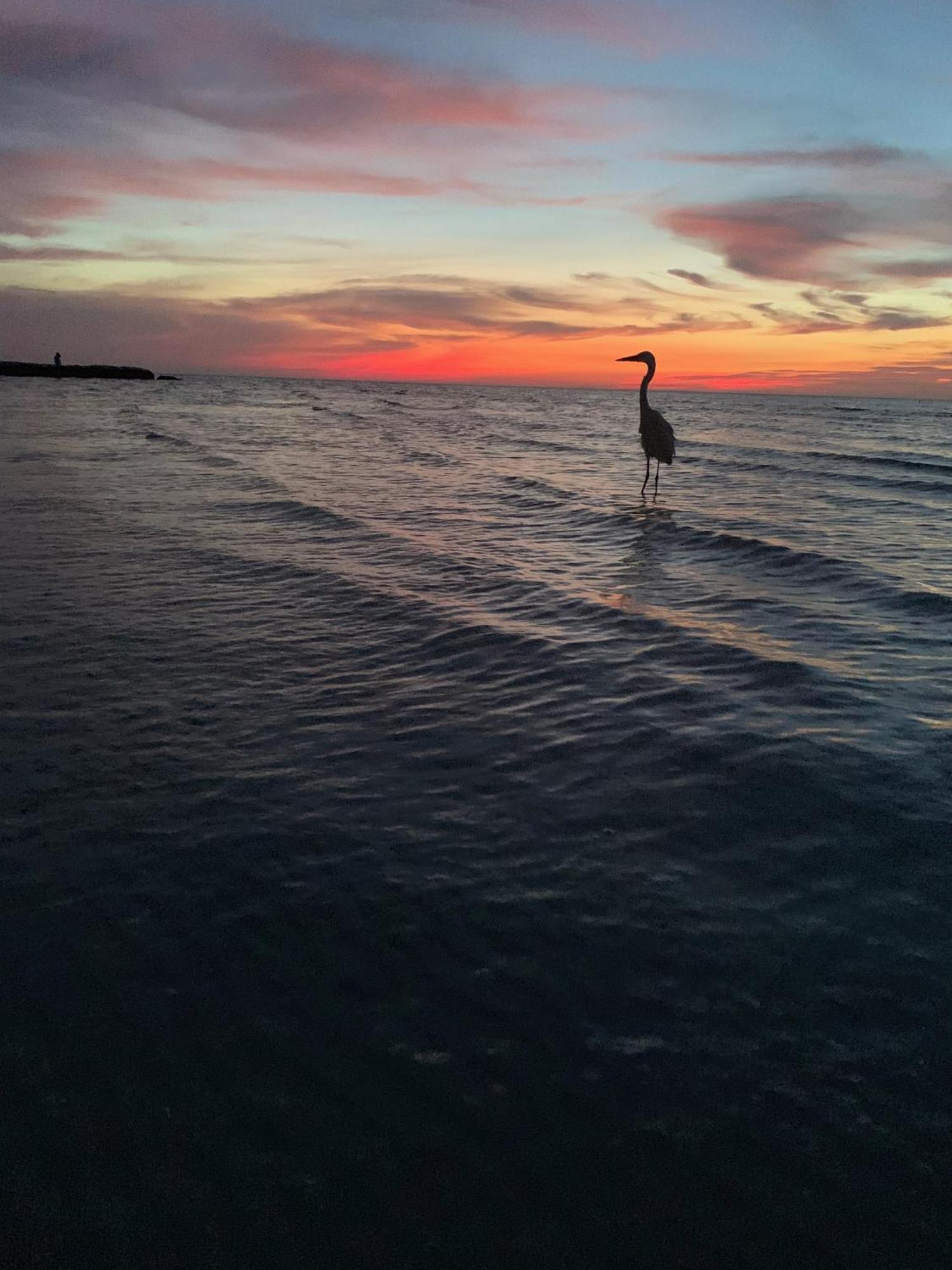 Casa Noma-Noma Holbox Bed & Breakfast エクステリア 写真