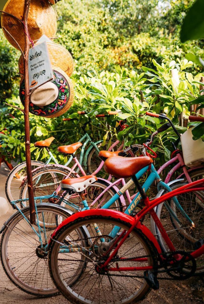 Casa Noma-Noma Holbox Bed & Breakfast エクステリア 写真